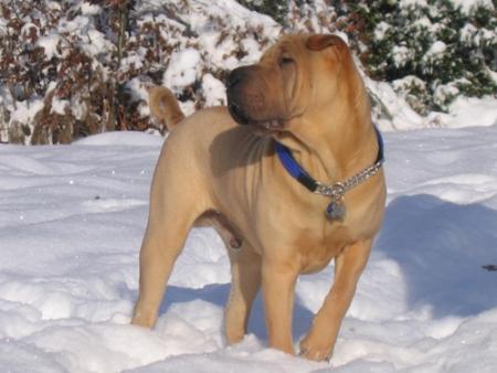 J'adore tellement la neige...