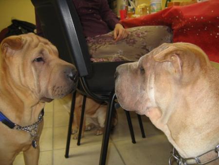 Tiens, voyez qui voil�...