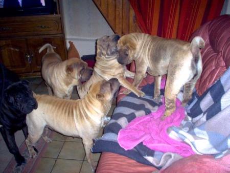 Savez-vous ce qu'est...