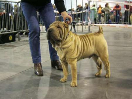 Voici mon fr�ro...