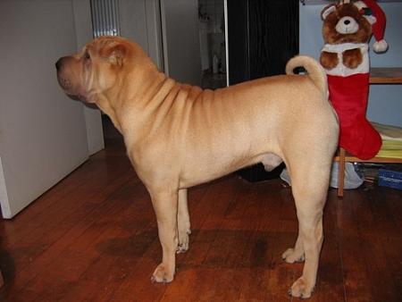 Bon, tu veux prendre un photo ?