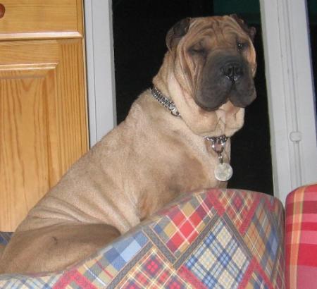 Un petit clin d'oeil...