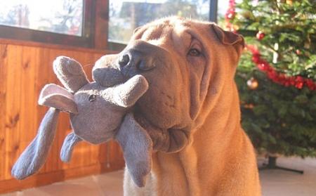 Athys est un eternel...