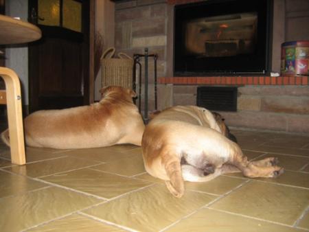 Non, vous ne voyez pas double...